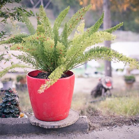Villa Chetrus Casa En Plena Naturaleza Rubí Kültér fotó